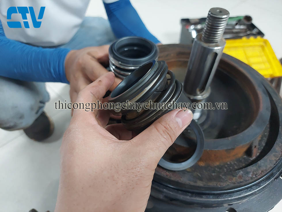 Phớt máy bơm nước, những lưu ý khi thay phớt mới