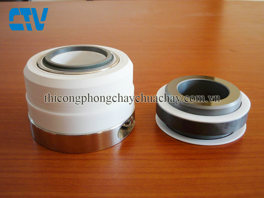 Phớt máy bơm hóa chất 10R 10T