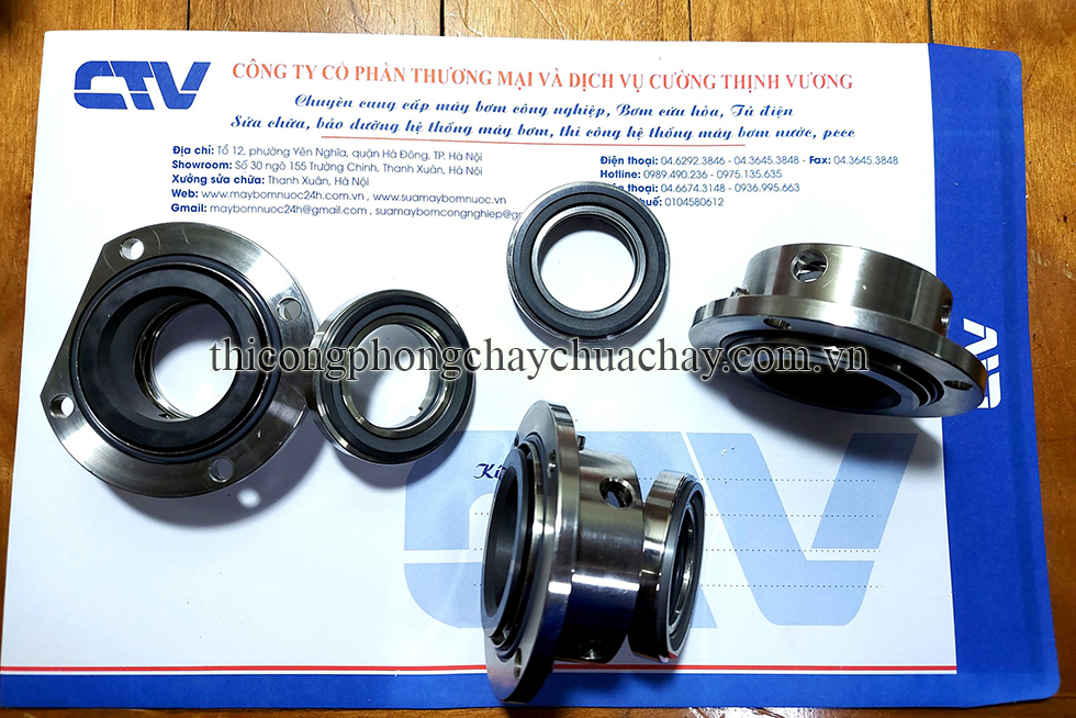 Phớt máy bơm Lobe bơm thực phẩm