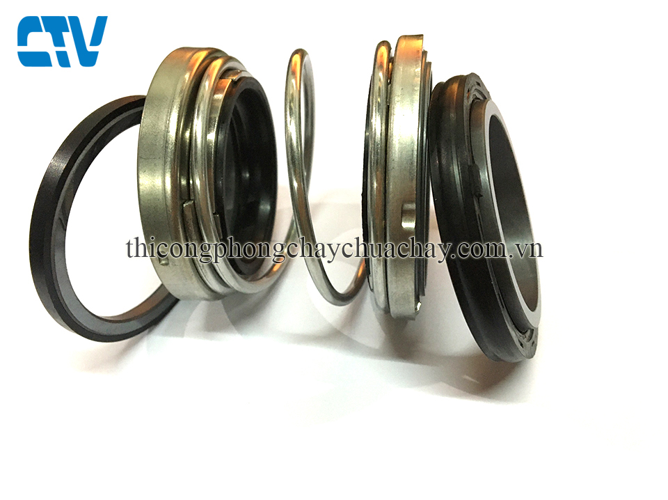 Phớt bơm công nghiệp, bơm chìm Ebara DML