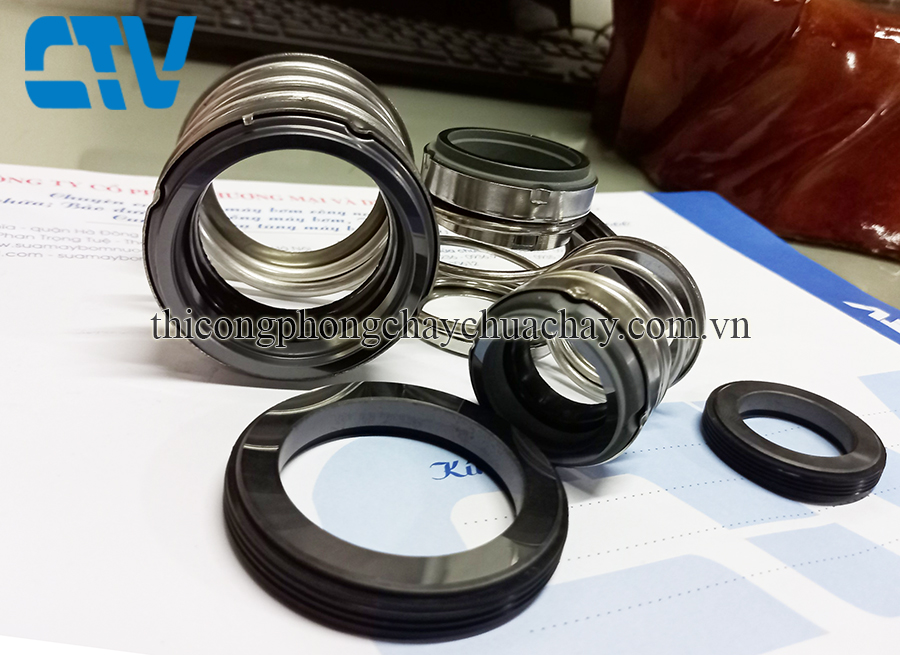 Phớt máy bơm Teral Model phớt BIA-90