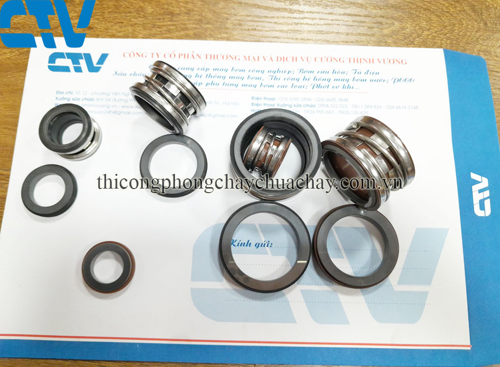 Phớt máy bơm công nghiệp Teral 2100-100
